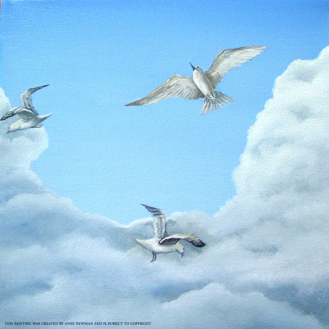 "Seagull Watch"