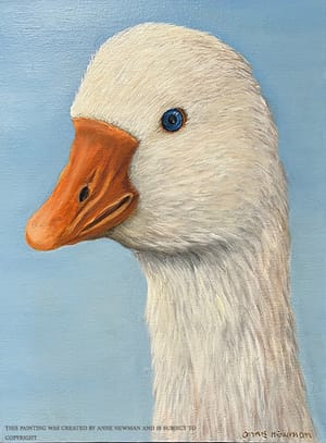 "Gustav the Goose"