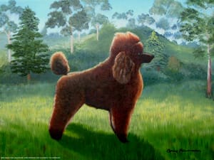 "The Poodle"